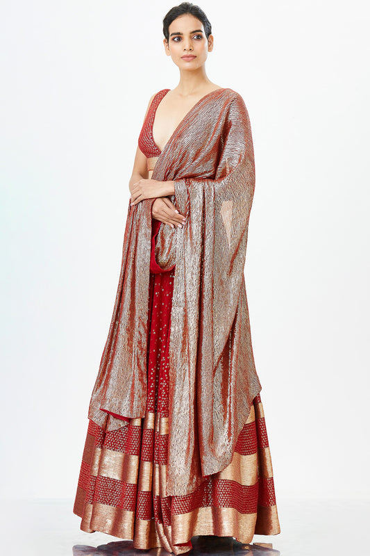 Lehenga Set in Bandini Inspired Sequin Embroidery