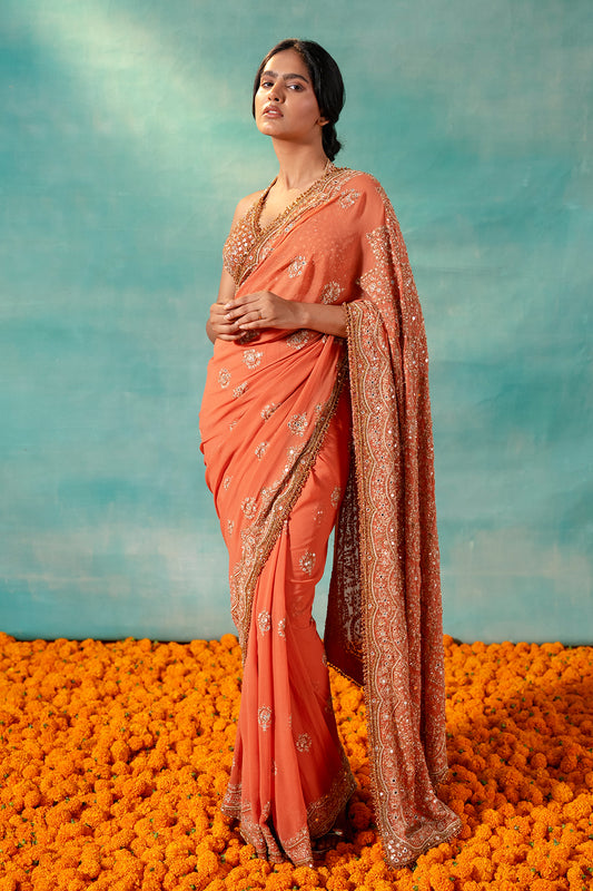 Sari Set with Thread Embroidery