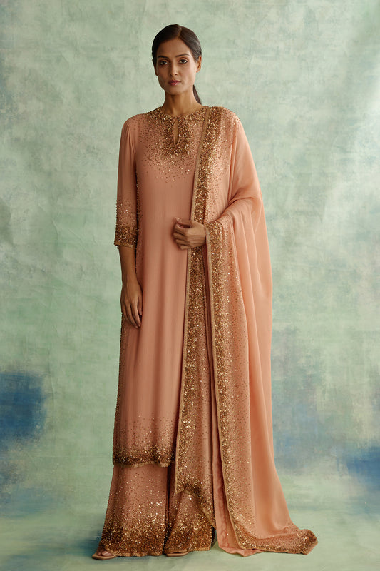 Kurta Set in Gold Sprinkle Sequin Embroidery