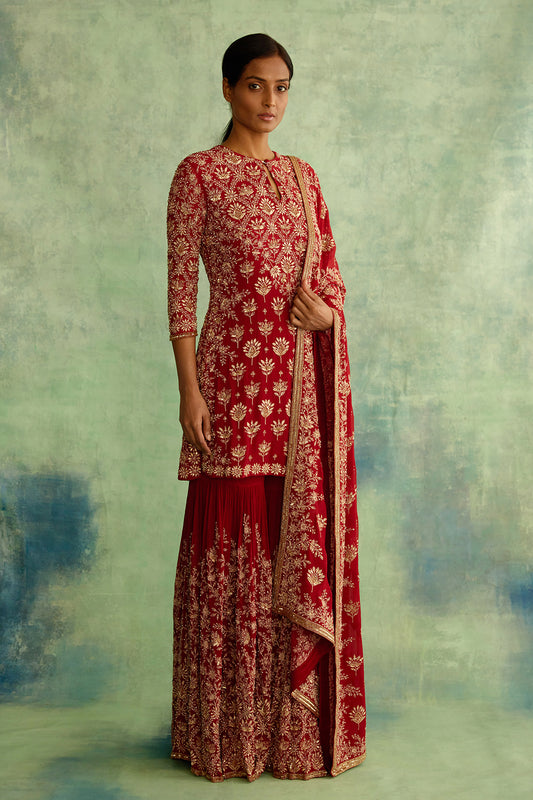Gharara Set with Thread Embroidery