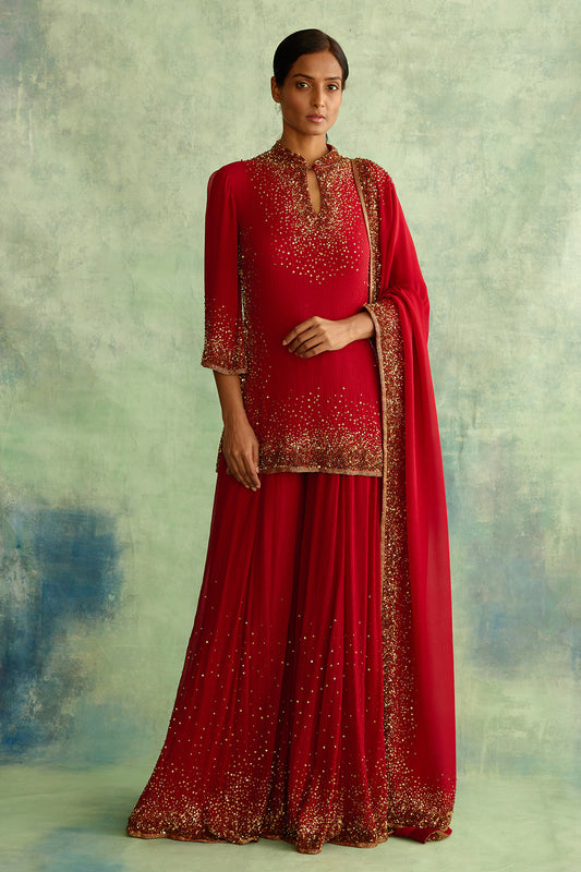 Sharara Set with Gold Sprinkle Sequin Embroidery
