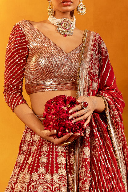 Lehenga Set with Ivory Thread and Sequin Embroidery