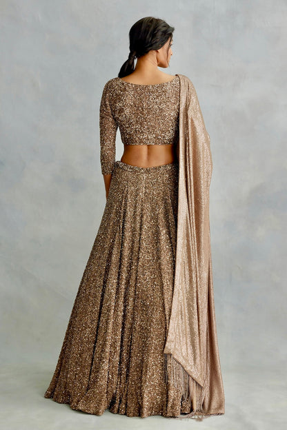 Lehenga Set in all over Sequin Embroidery