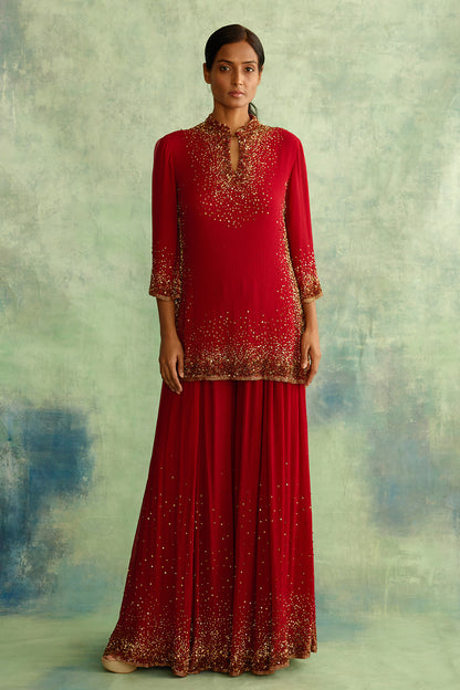 Sharara Set with Gold Sprinkle Sequin Embroidery