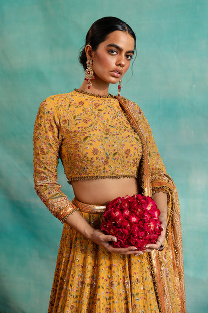 Lehenga Set in  Floral Thread Embroidery