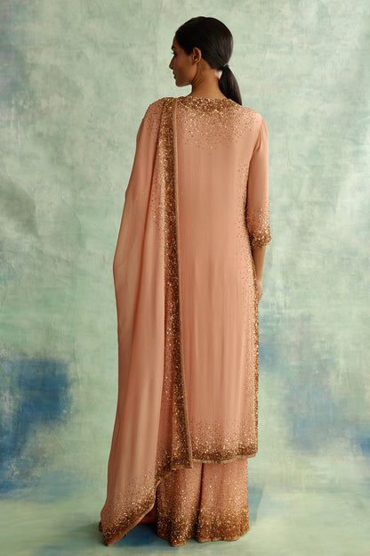 Kurta Set in Gold Sprinkle Sequin Embroidery