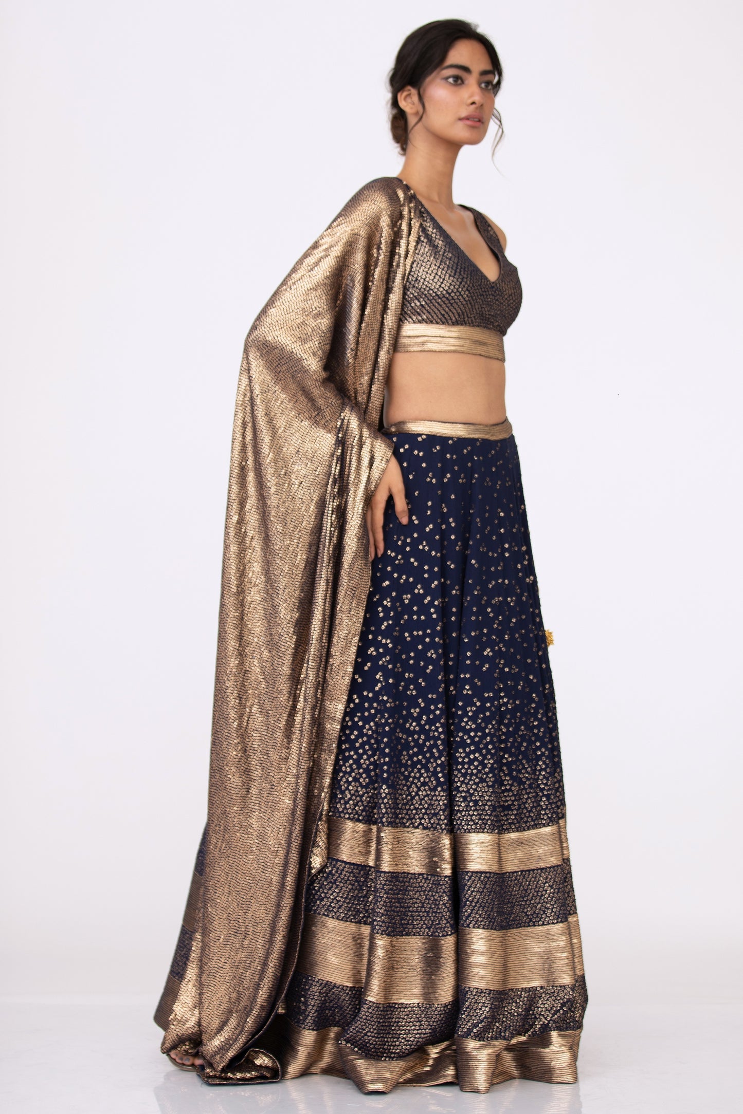 Lehenga Set in Bandini Inspired Sequin Embroidery