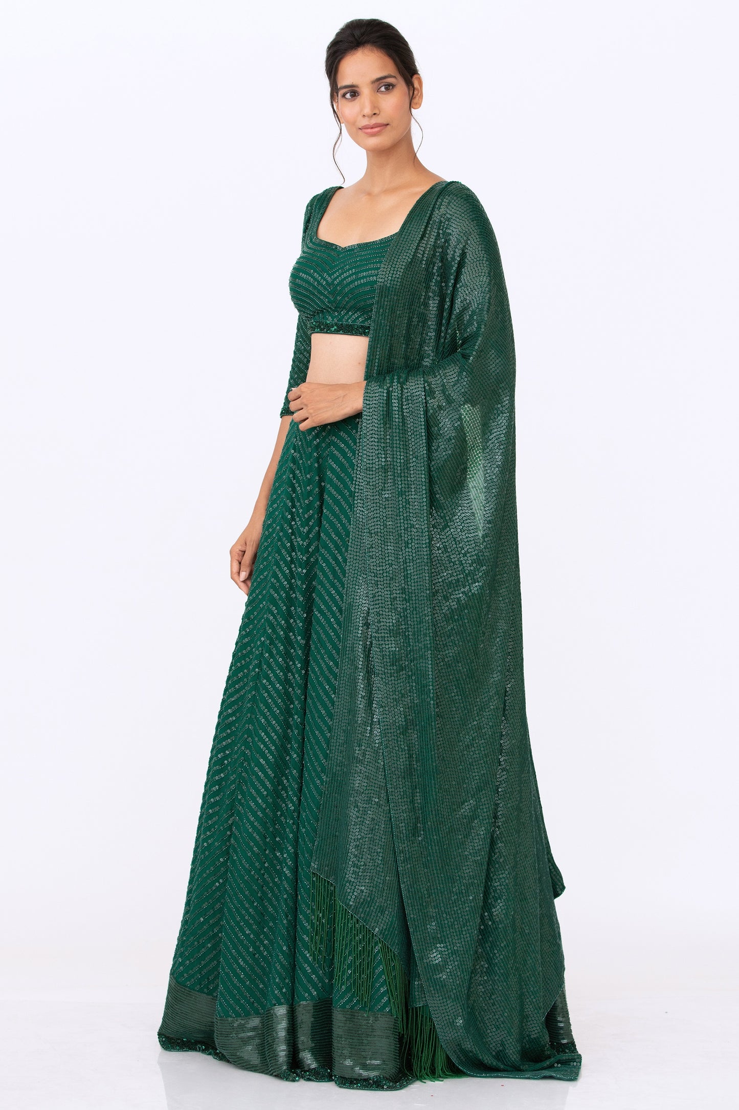 Lehenga Set in Tonal Sequin Embroidery
