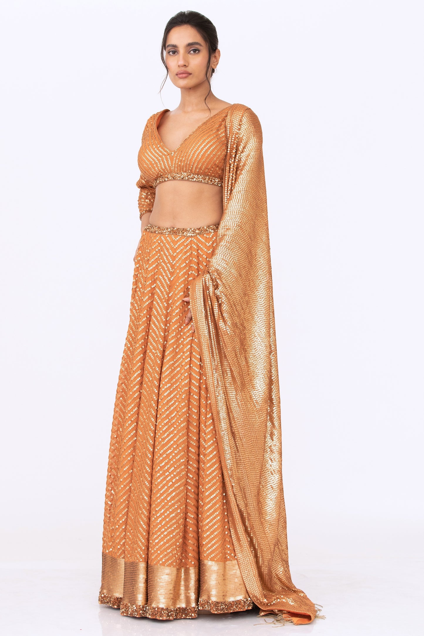 Lehenga Set in Tonal Gold Sequin Embroidery
