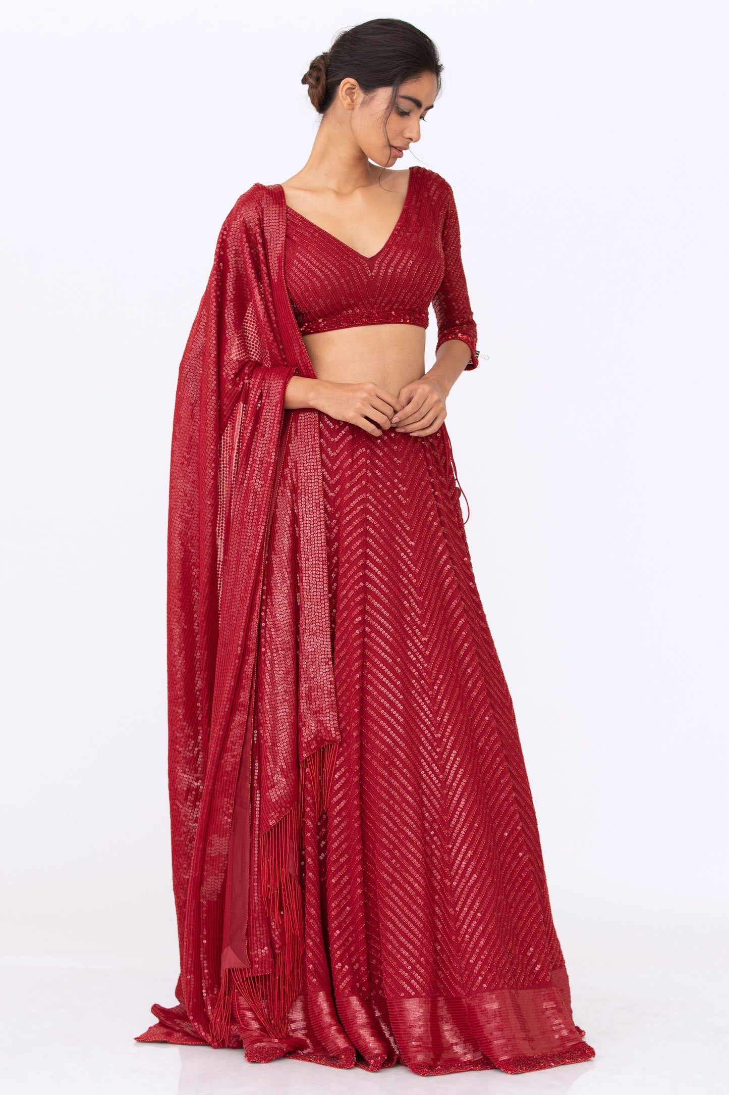 Lehenga Set in Tonal Sequin Embroidery