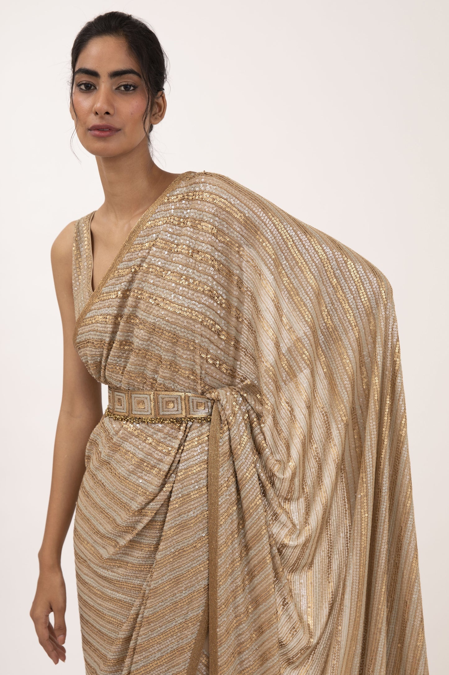 Sari Set in Sequin Embroidery