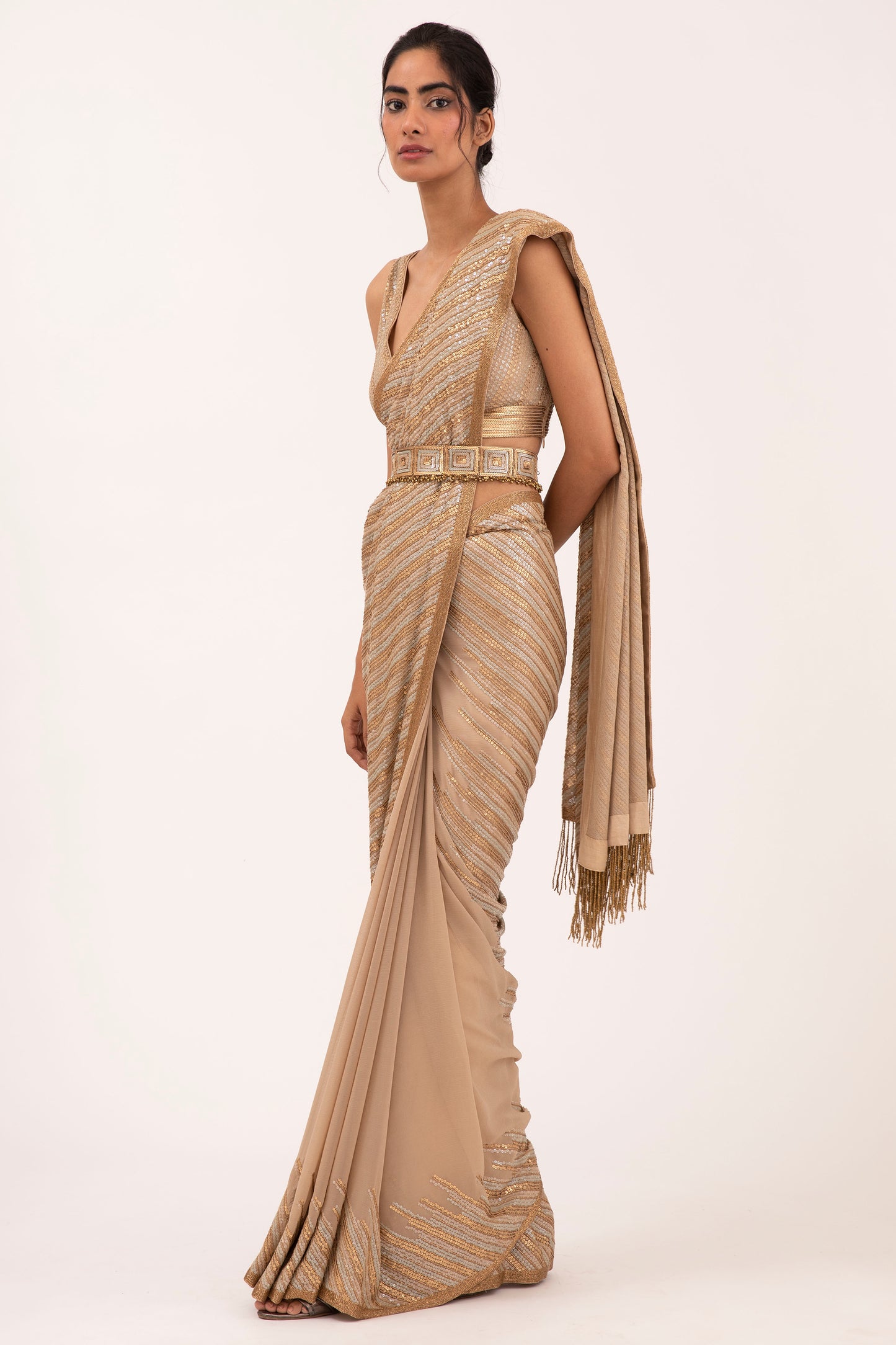 Sari Set in Sequin Embroidery