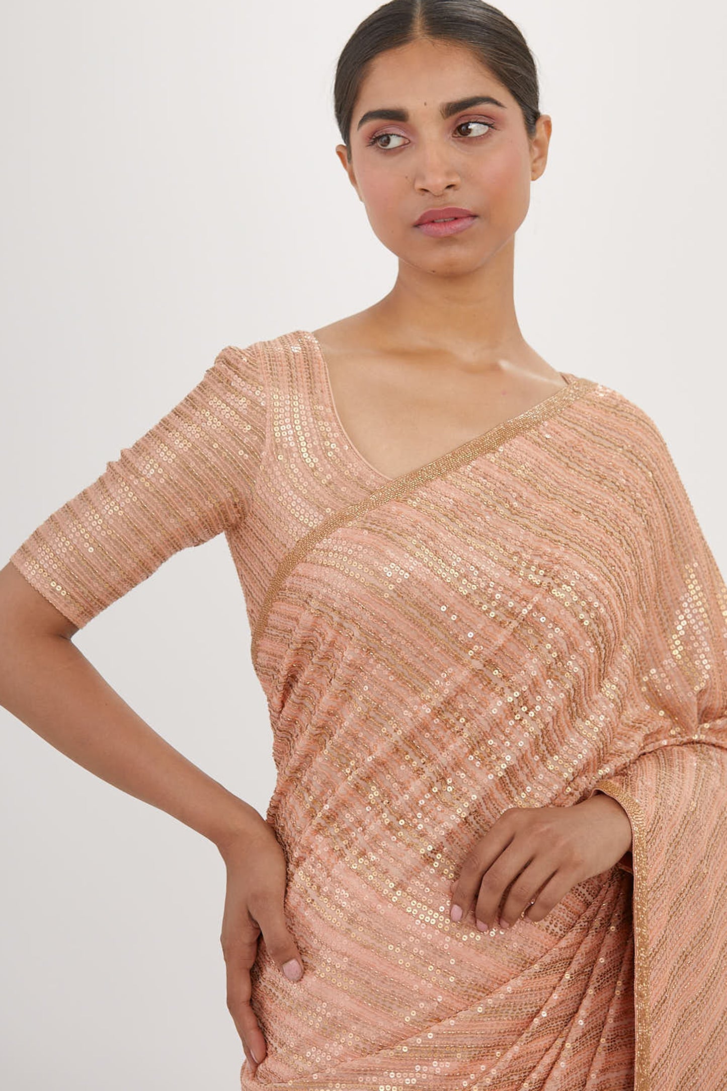 Sari Set in Sequin Embroidery