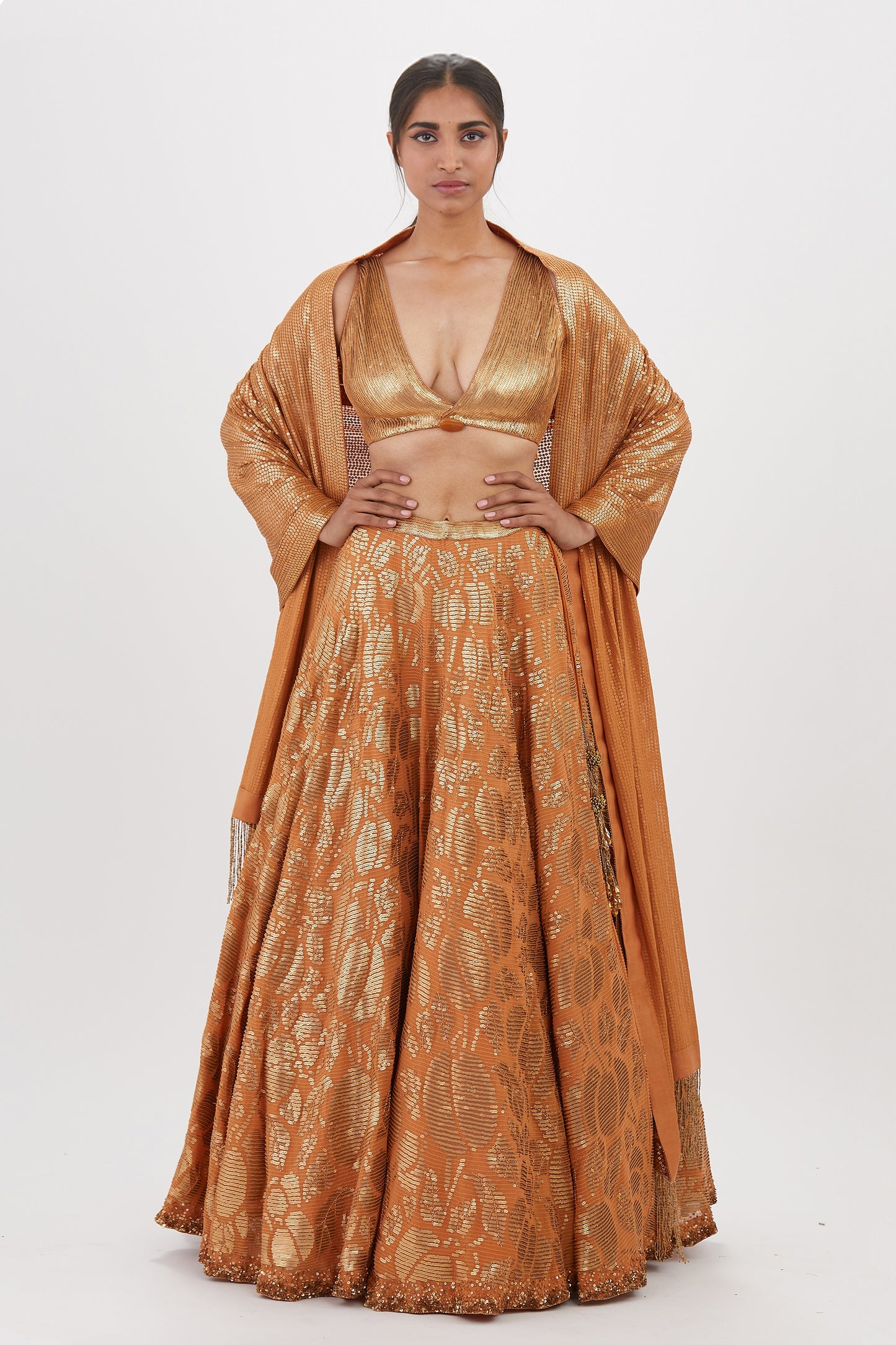 Lehenga Set in Berry Design Sequin Embroidery