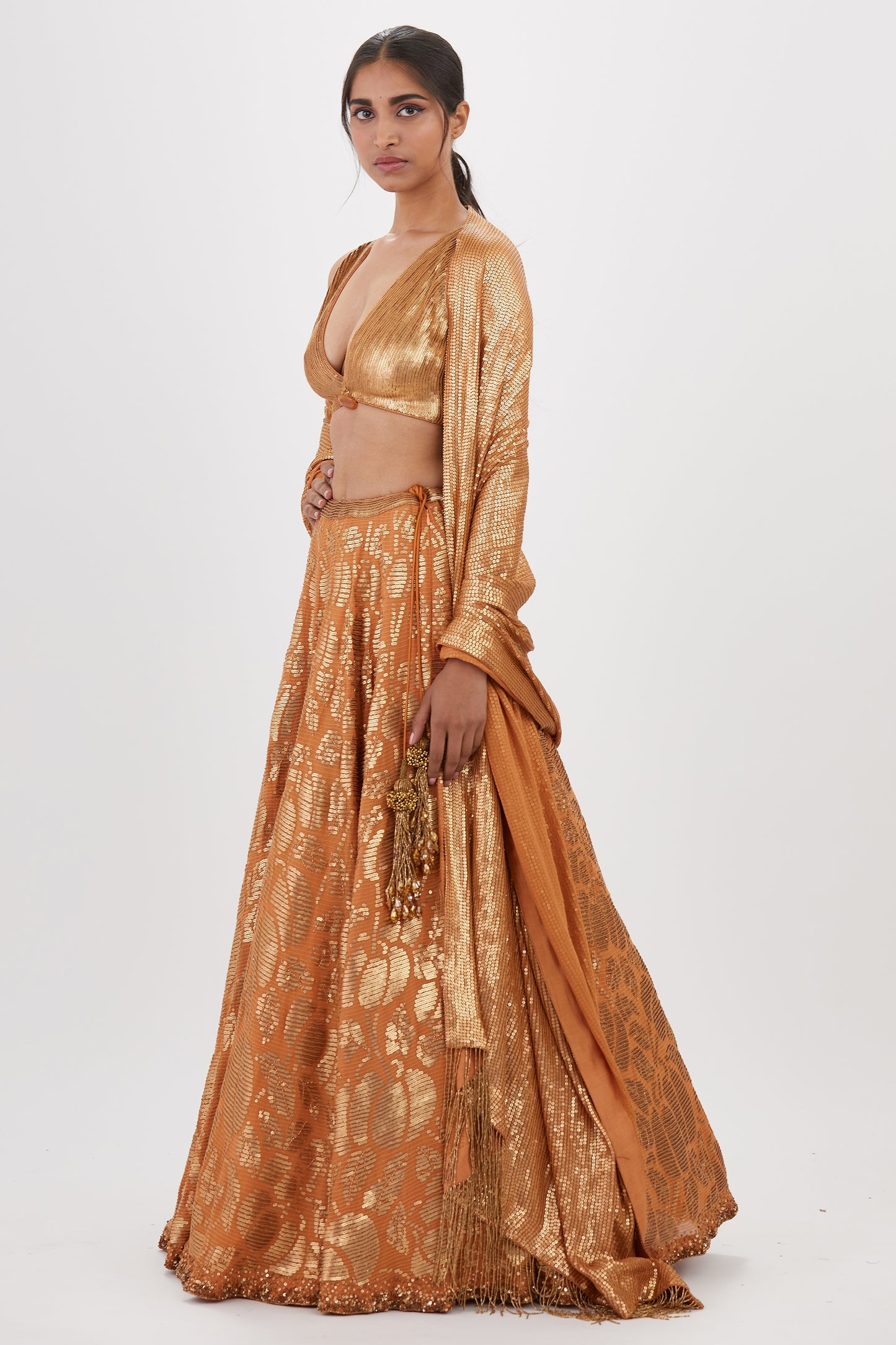 Lehenga Set in Berry Design Sequin Embroidery