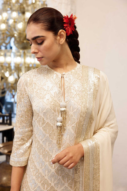 Kurta Set  sheeted booti grid sequin embroidery