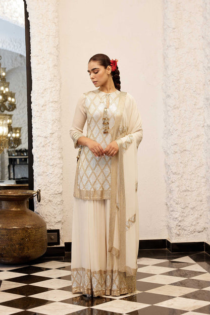 Sharara Set in a diamond pattern sheeted sequin embroidery