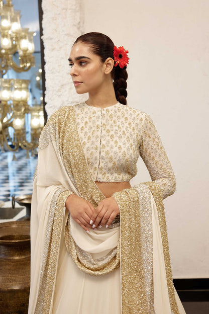 Lehenga Set in dense border sequin embroidery