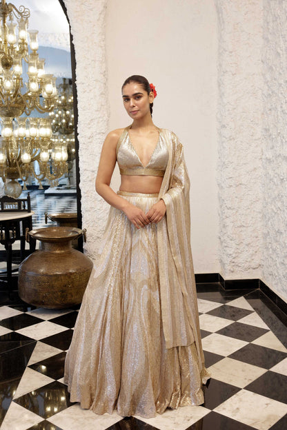 LEHENGA SET in vertical wave sheeted sequin embroidery