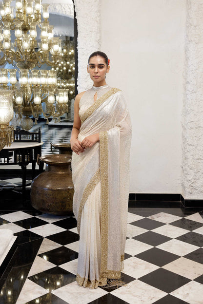 Sari Set in gold & silver Sequin Embroidery