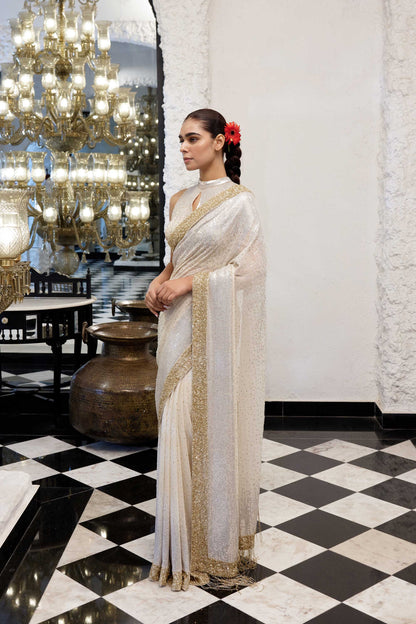 Sari Set in gold & silver Sequin Embroidery