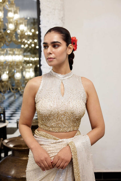 Sari Set in gold & silver Sequin Embroidery