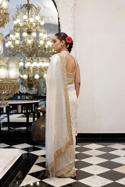 Sari Set in gold & silver Sequin Embroidery