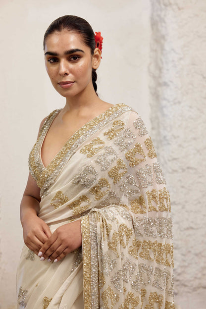 Sari Set in Booti Grid gold & silver sequin embroidery