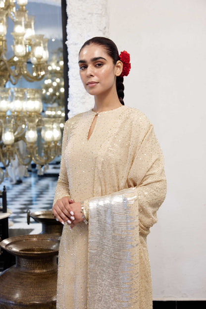Kurta Set in Side sheeted Sequin Embroidery