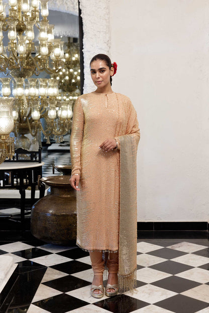 Kurta Set in Side sheeted Sequin Embroidery