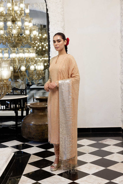 Kurta Set in Side sheeted Sequin Embroidery