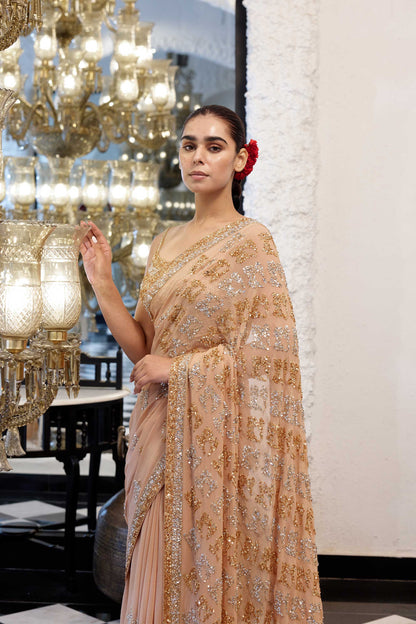 Sari Set in Booti Grid gold & silver sequin embroidery