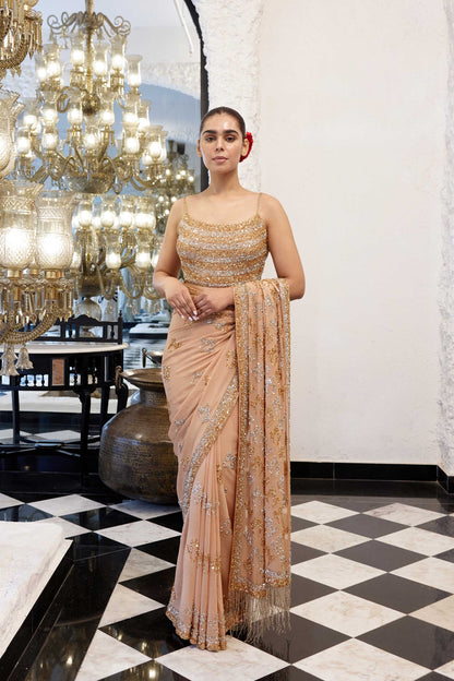 Sari Set in Booti Grid gold & silver sequin embroidery