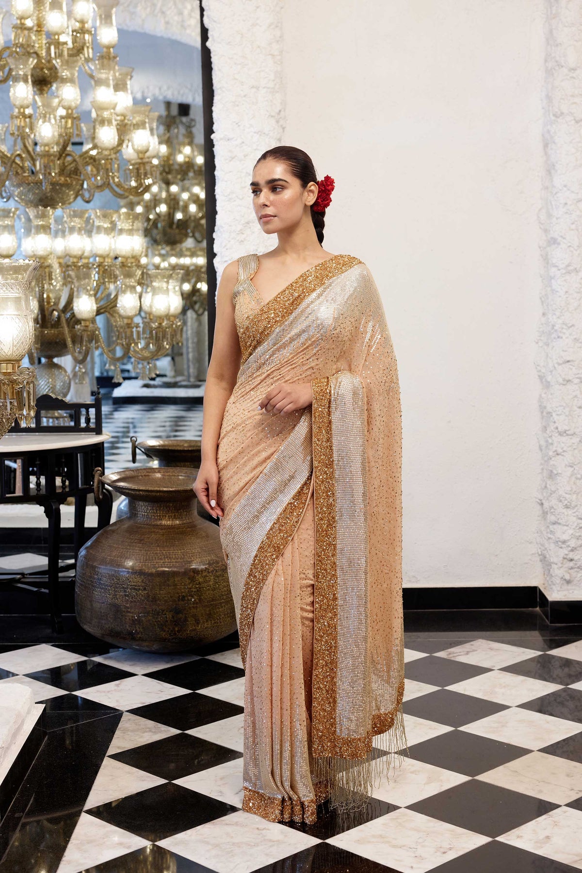 Sari Set in gold & silver Sequin Embroidery