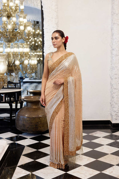 Sari Set in gold & silver Sequin Embroidery