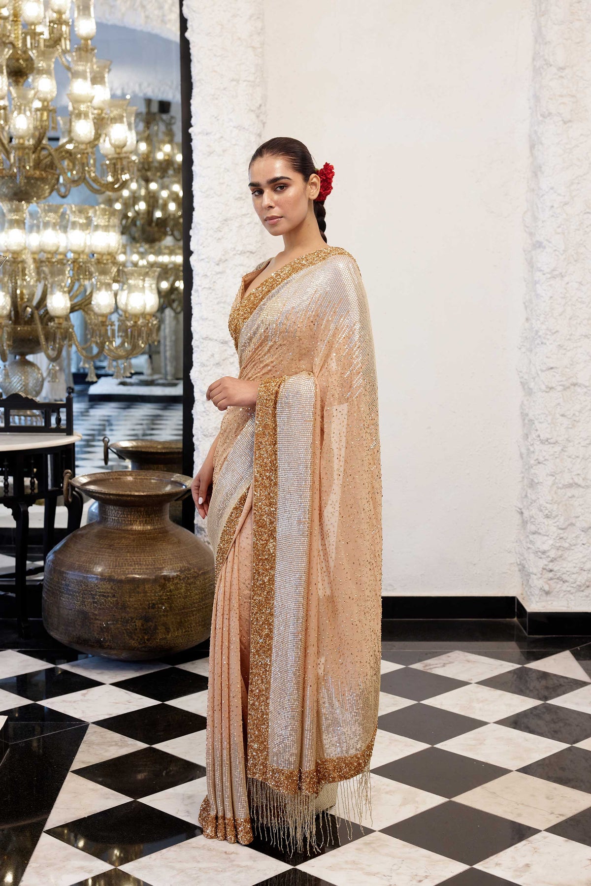 Sari Set in gold & silver Sequin Embroidery