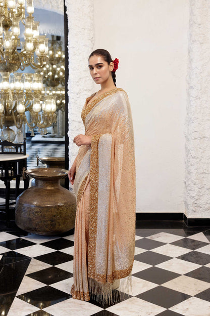 Sari Set in gold & silver Sequin Embroidery