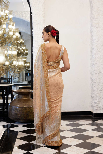 Sari Set in gold & silver Sequin Embroidery