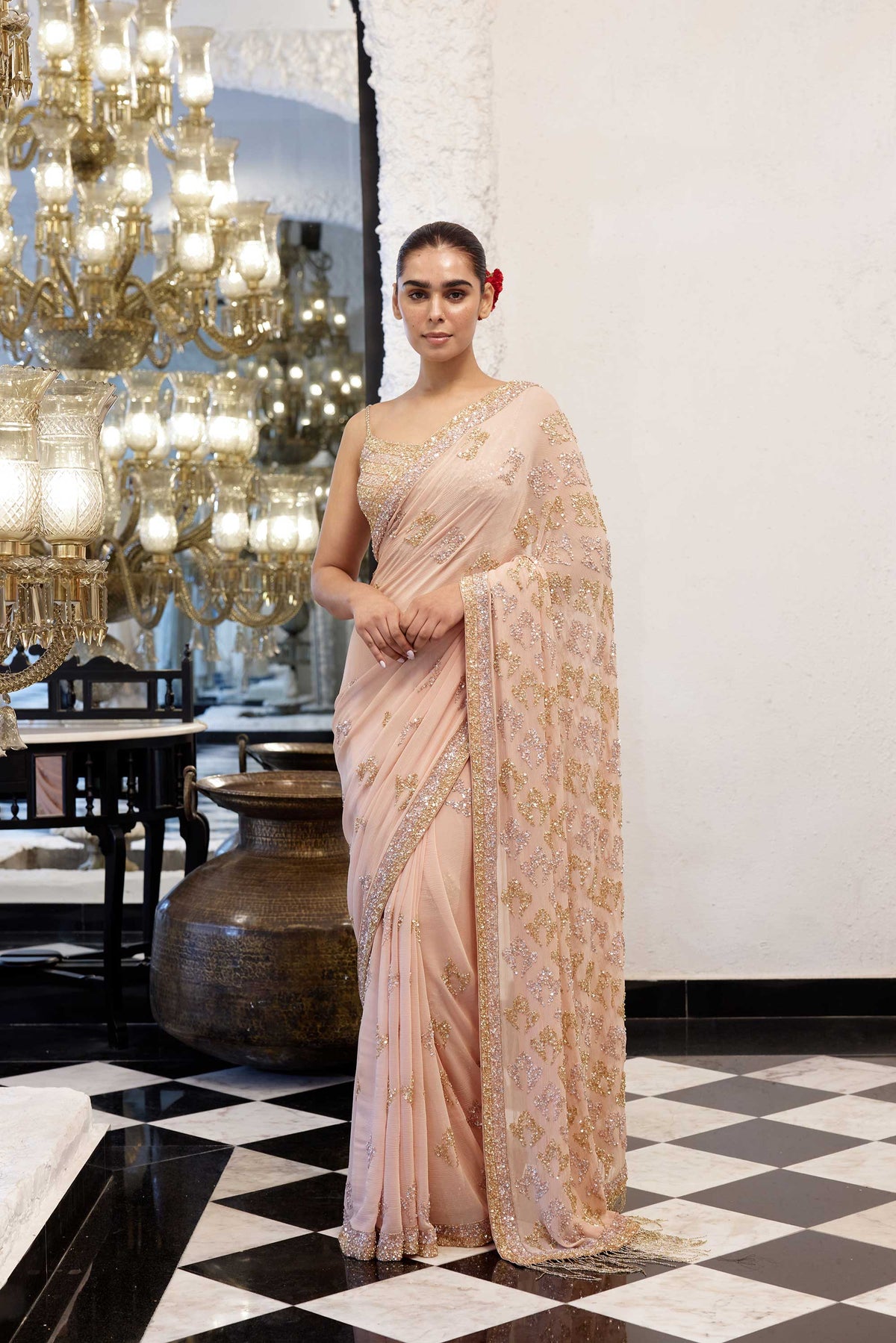 Sari Set in Booti Grid gold & silver sequin embroidery