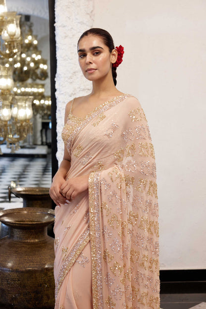 Sari Set in Booti Grid gold & silver sequin embroidery