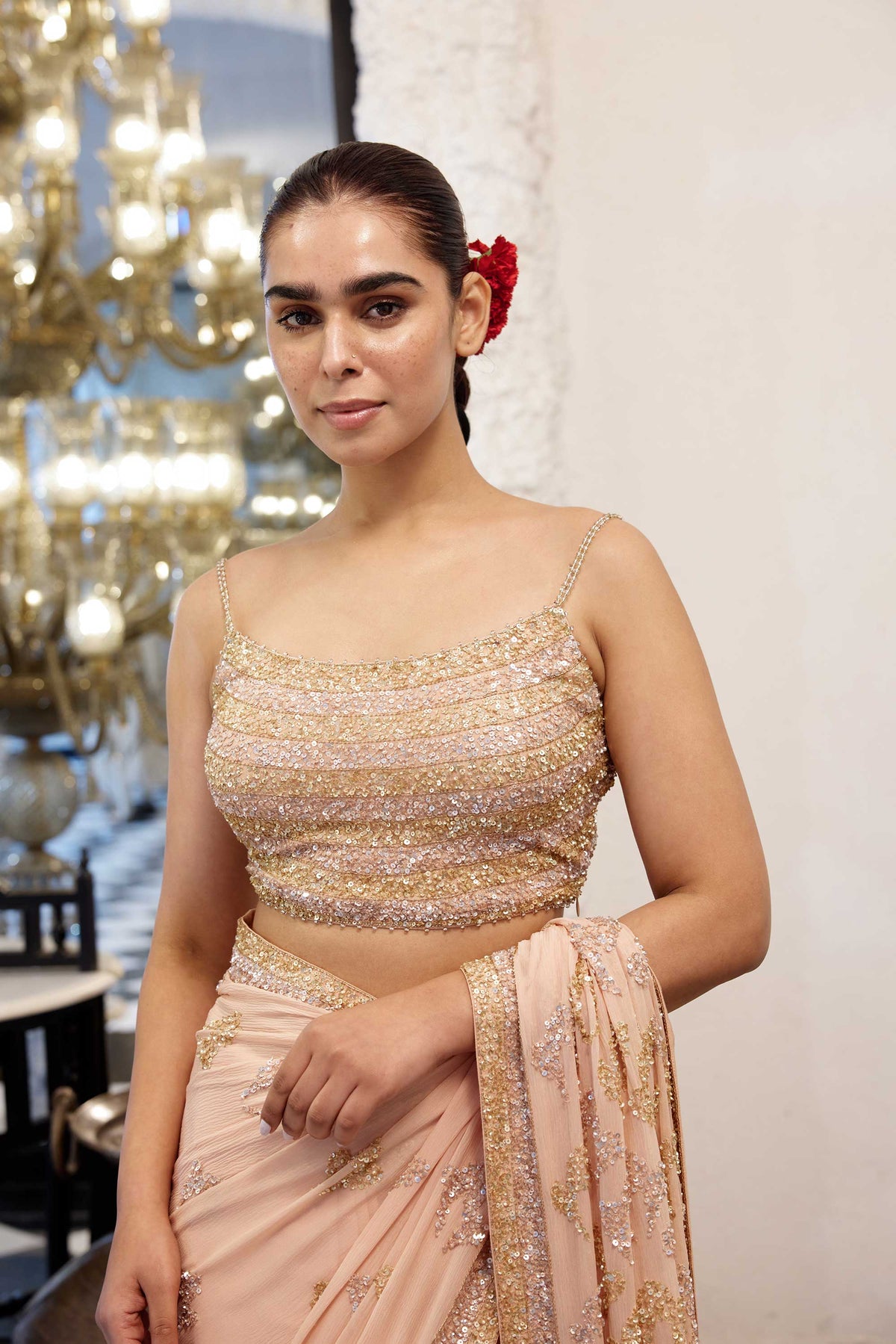 Sari Set in Booti Grid gold & silver sequin embroidery