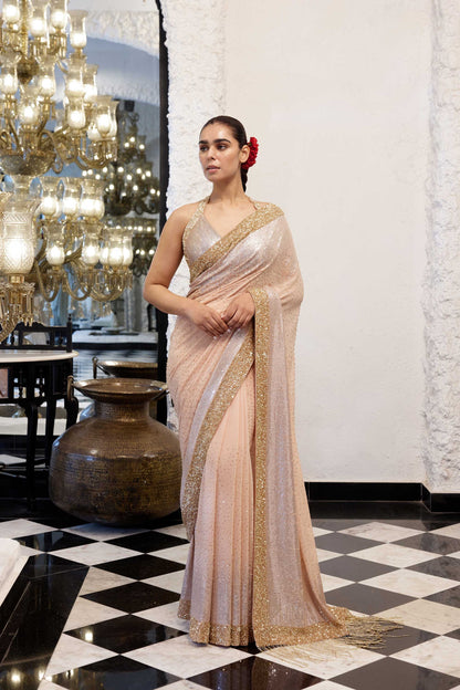 Sari Set in gold & silver Sequin Embroidery