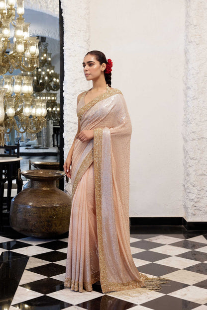 Sari Set in gold & silver Sequin Embroidery