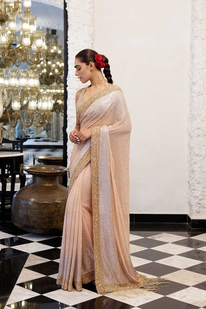 Sari Set in gold & silver Sequin Embroidery