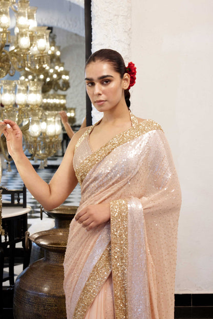 Sari Set in gold & silver Sequin Embroidery