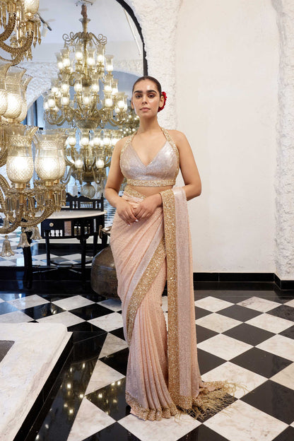Sari Set in gold & silver Sequin Embroidery