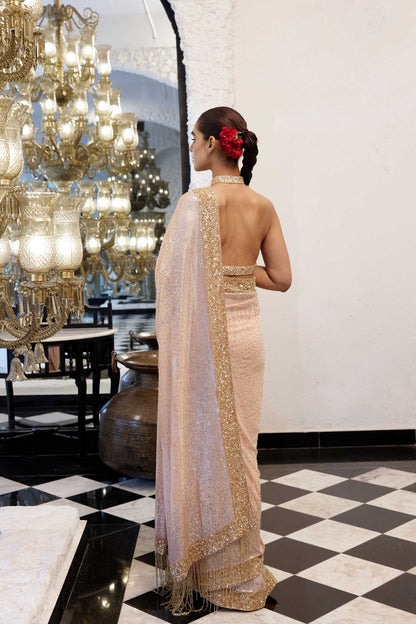 Sari Set in gold & silver Sequin Embroidery