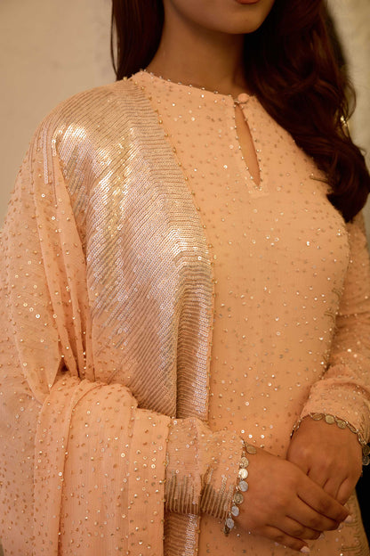 Kurta Set in Side sheeted Sequin Embroidery