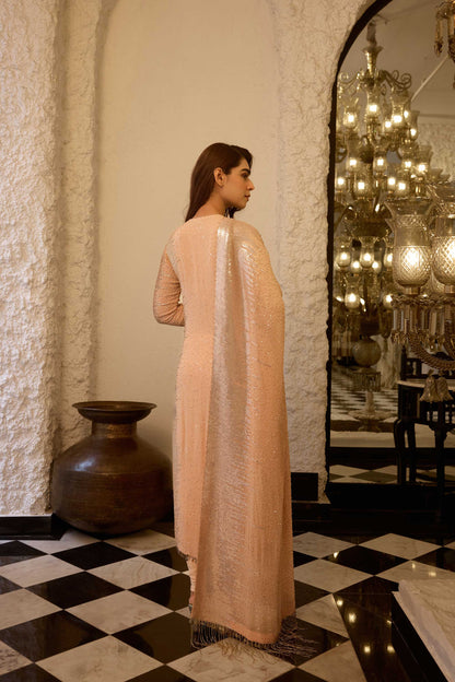 Kurta Set in Side sheeted Sequin Embroidery