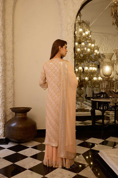 Kurta Set  sheeted booti grid sequin embroidery